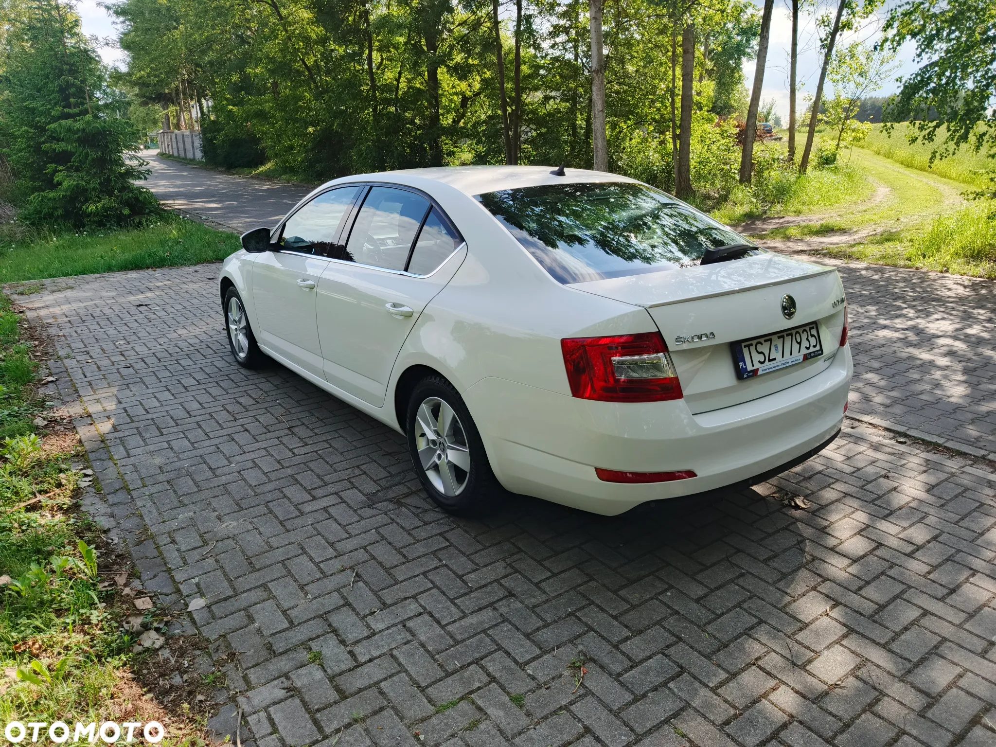Skoda Octavia 1.6 TDI Greenline - 4