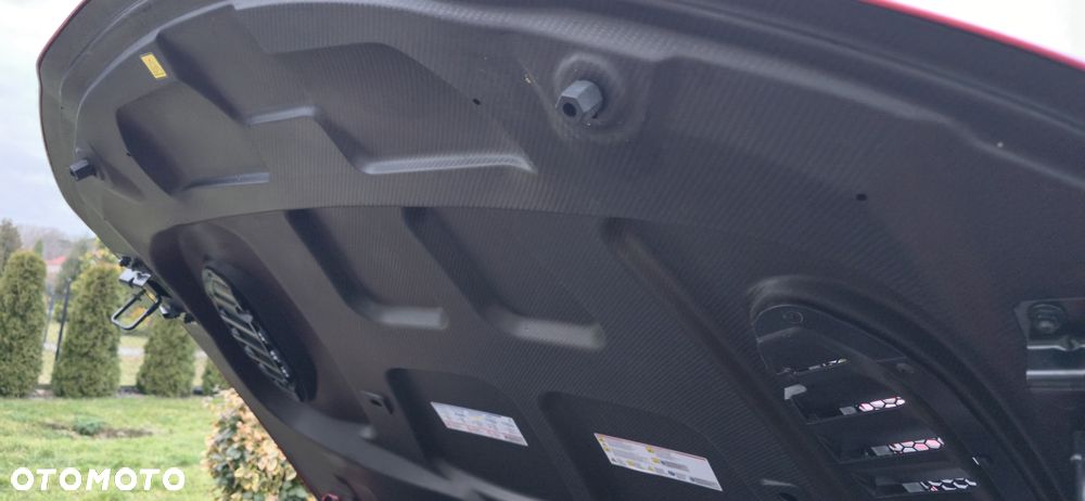 Alfa Romeo Giulia - 19