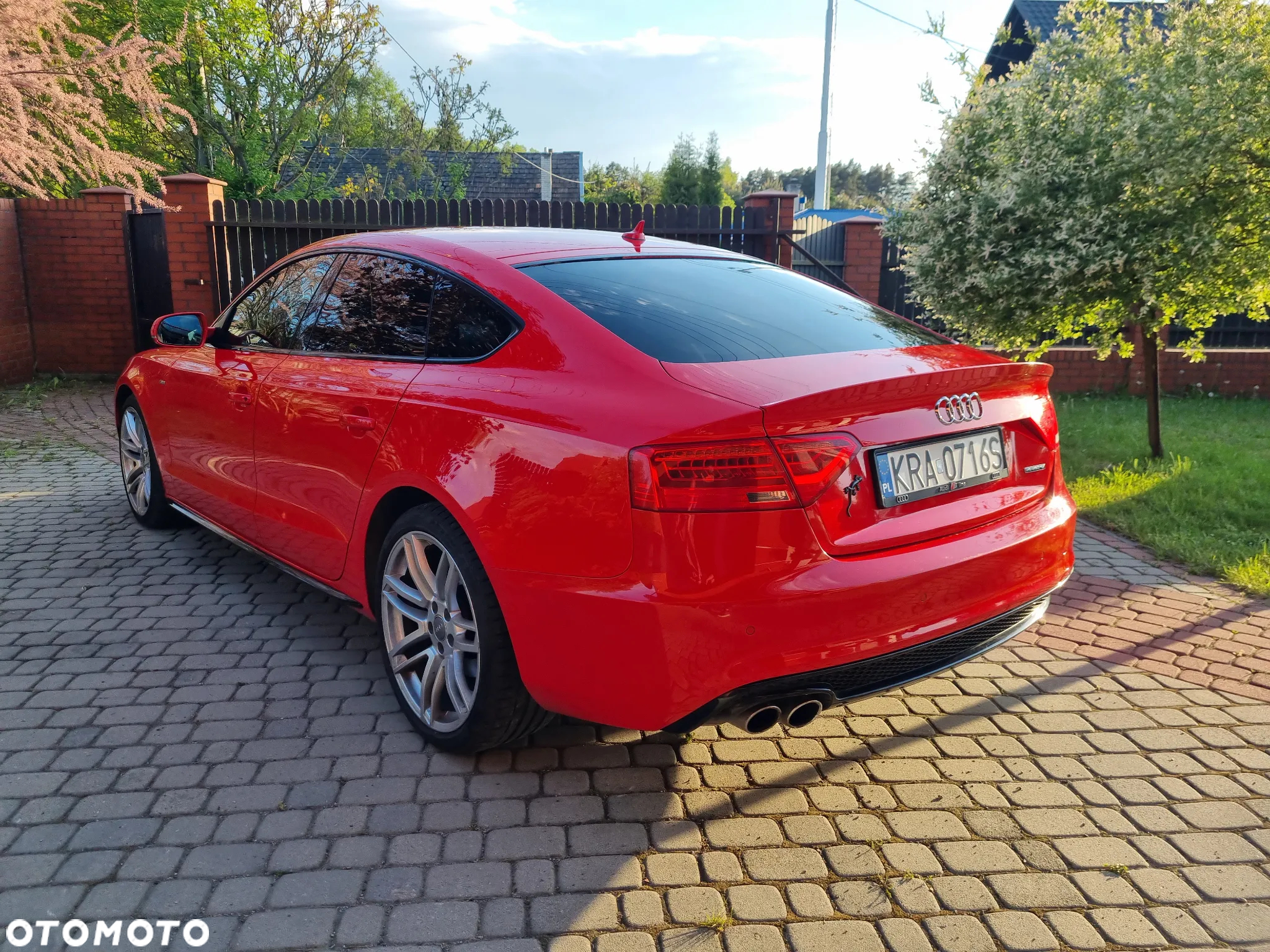 Audi A5 2.0 TDI Sportback (clean diesel) quattro DPF - 6