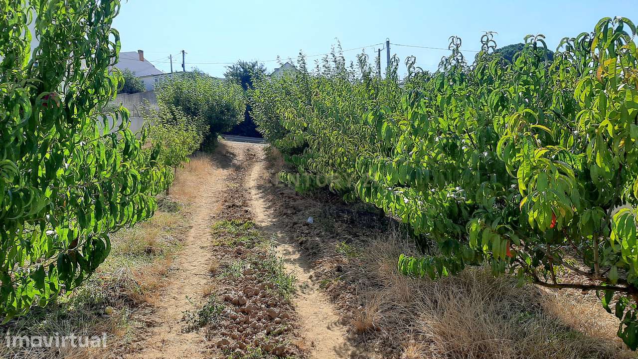 Terreno para construção Condomínio 2 Moradias + anexo comum em Turcifa - Grande imagem: 5/18