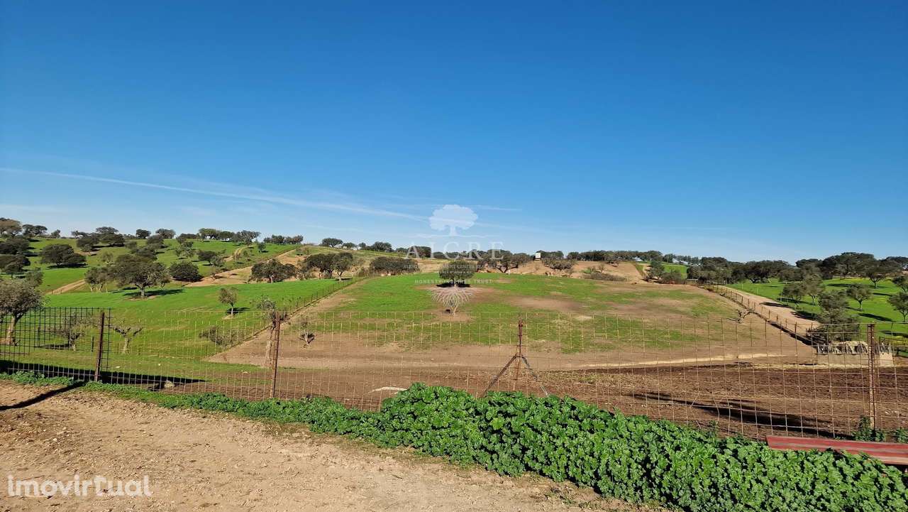 HERDADE GANADEIRA E SUINOCULTURA - Grande imagem: 5/60