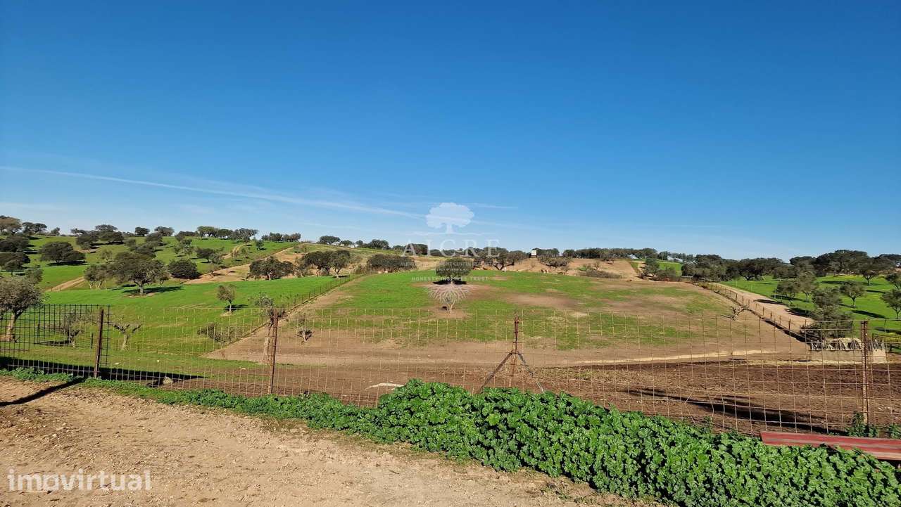 HERDADE GANADEIRA E SUINOCULTURA - Grande imagem: 5/60