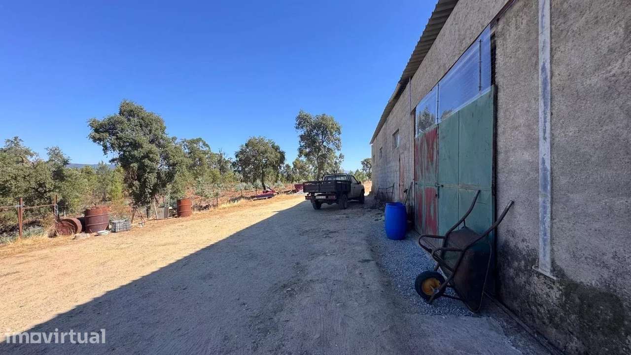 Quinta biológica de 44,8 ha com exploração agrícola ativa + potencial - Grande imagem: 5/60