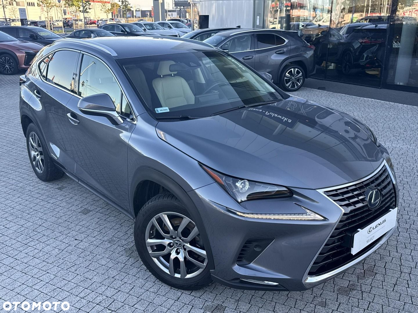 Lexus NX - 24