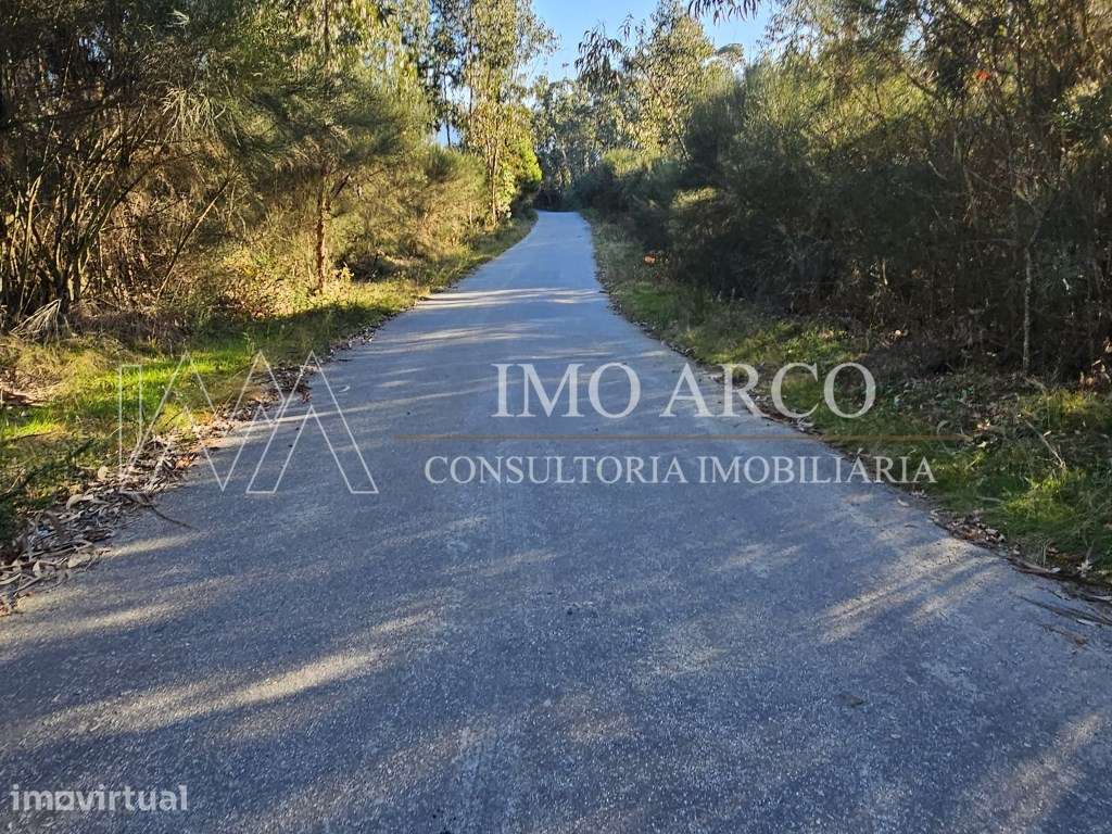 Terreno. Rustico em Pedraça - Grande imagem: 3/20