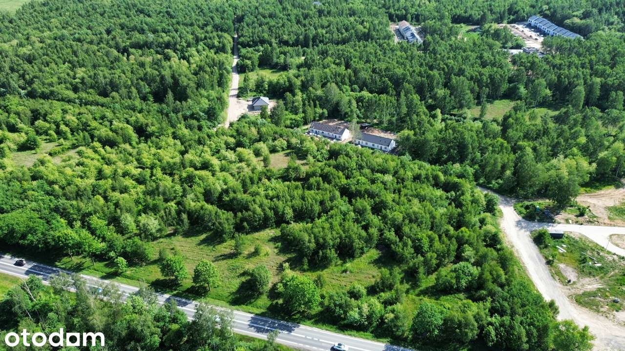 DZIAŁKI INWESTYCYJNE PRZY DK94 – GNIEWOMIROWICE; LEGNICA; LUBIN; JAWOR - Pełny obrazek: 3/5