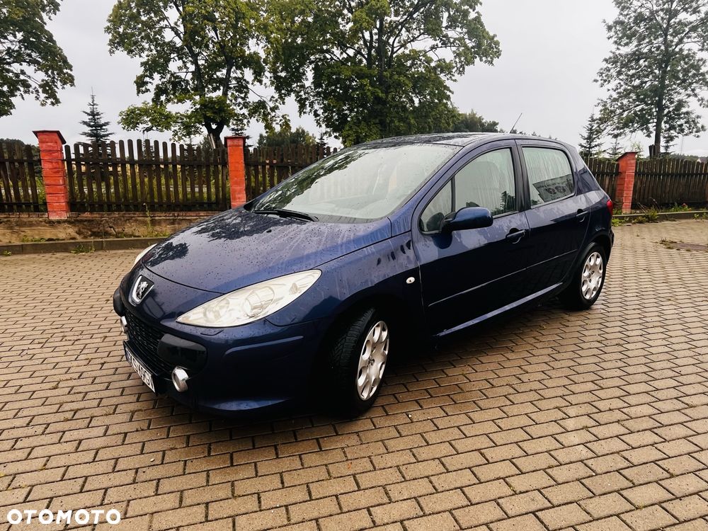 Peugeot 307 - 5