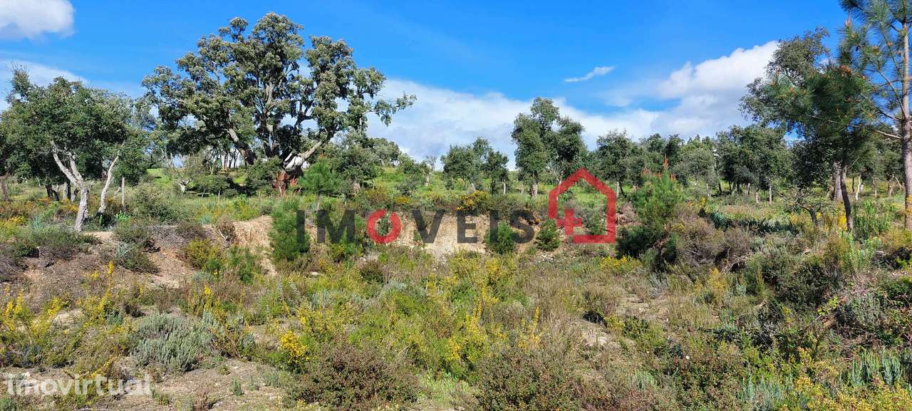 Lote terreno para construção - Grande imagem: 4/4