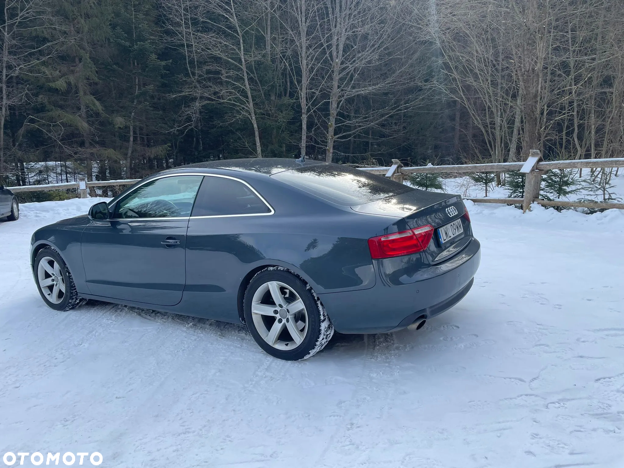Audi A5 3.0 TDI Quattro Tiptr - 16