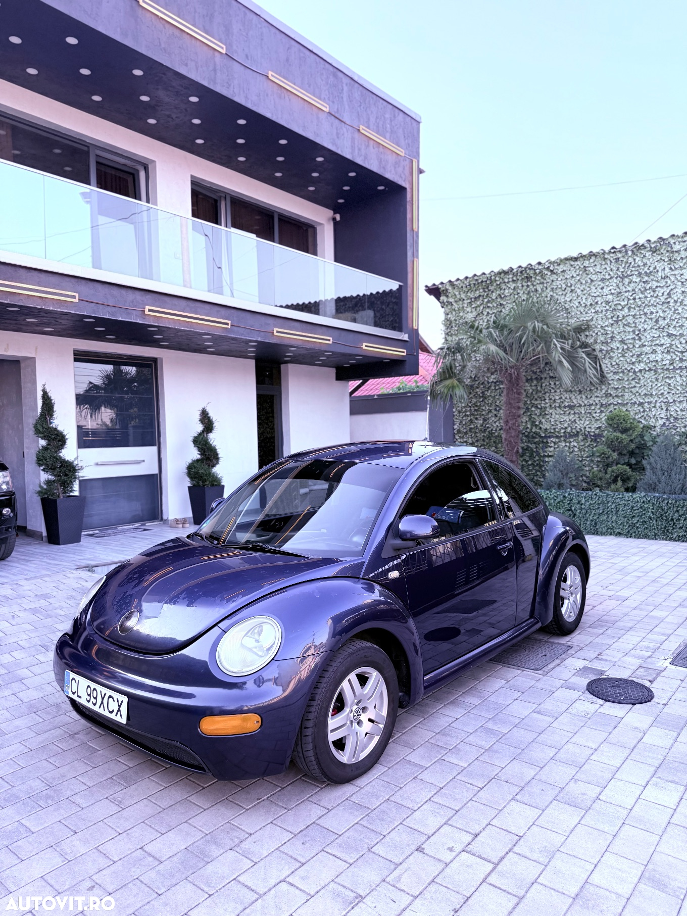 Volkswagen Beetle - 3