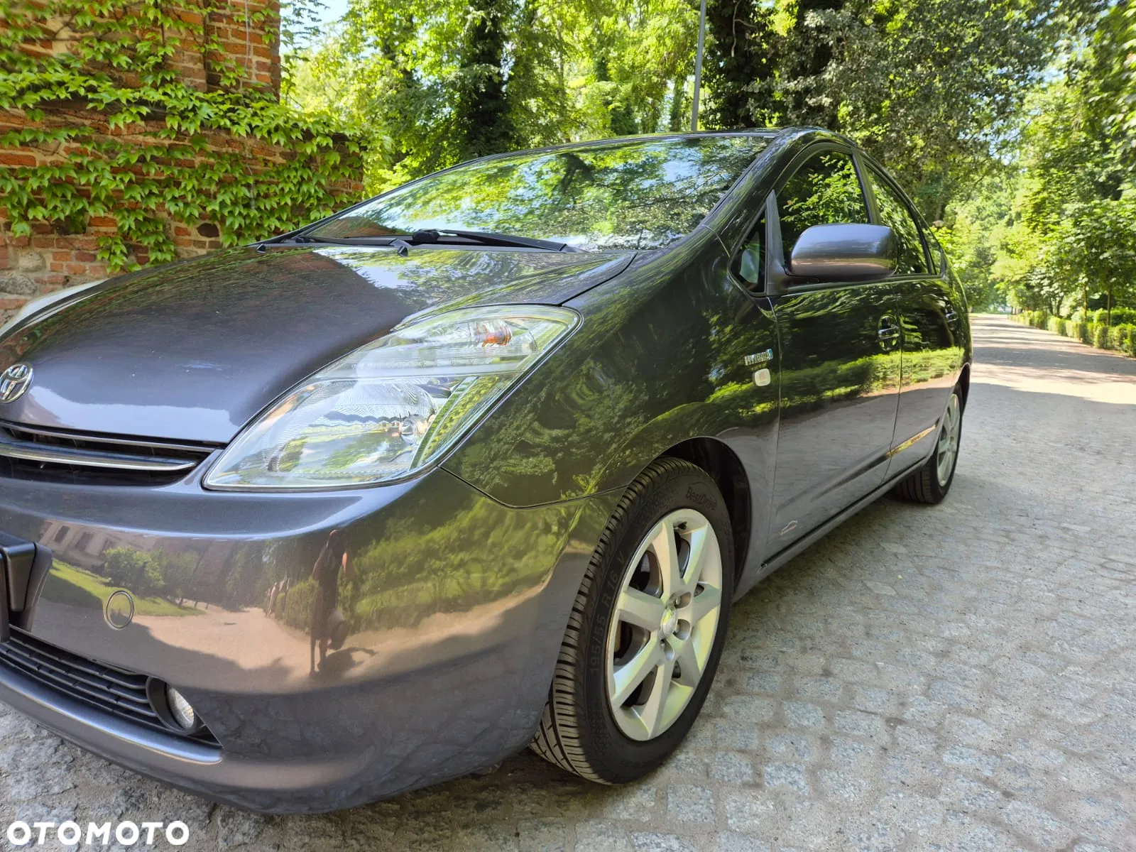 Toyota Prius (Hybrid) Executive - 11