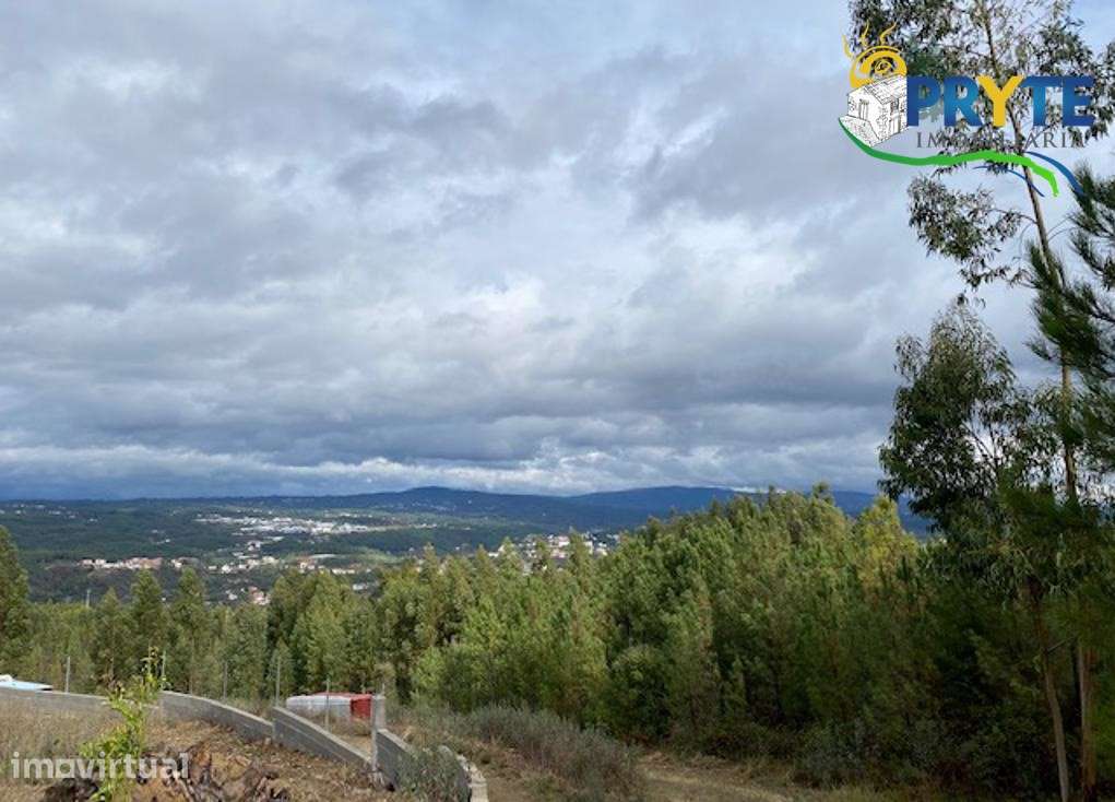 Terreno com 4100 metros quadrados situado perto da Sertã - Grande imagem: 3/8