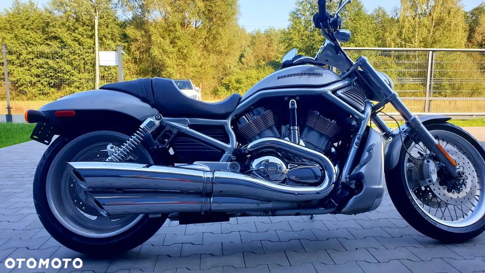 Harley-Davidson Softail V-Rod - 9