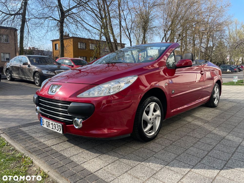 Peugeot 307 2.0 Sporty - 13