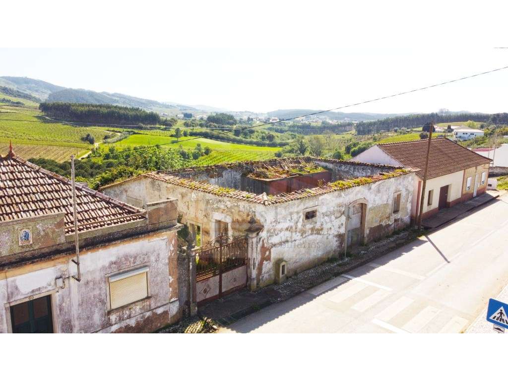 Adega para restauro + terreno de 1548 m2 - Grande imagem: 2/16