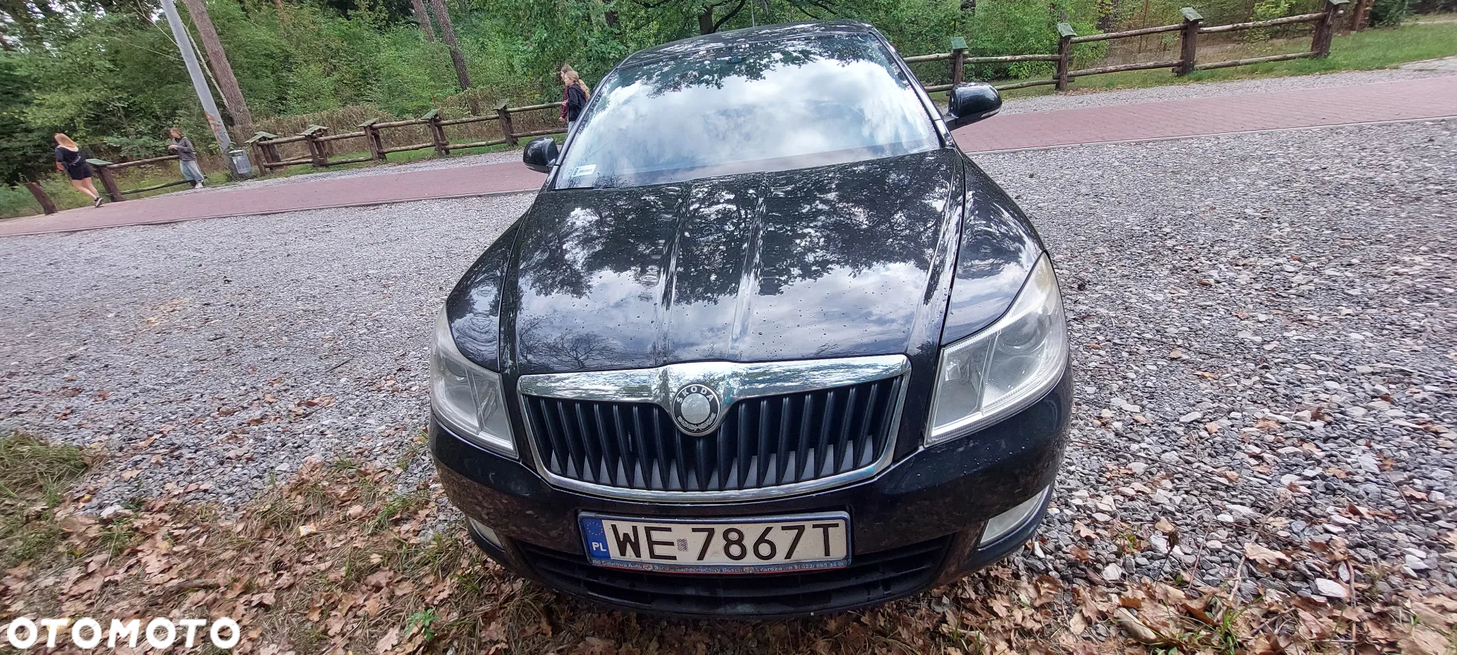 Skoda Octavia 1.4 TSI Ambiente DSG - 11