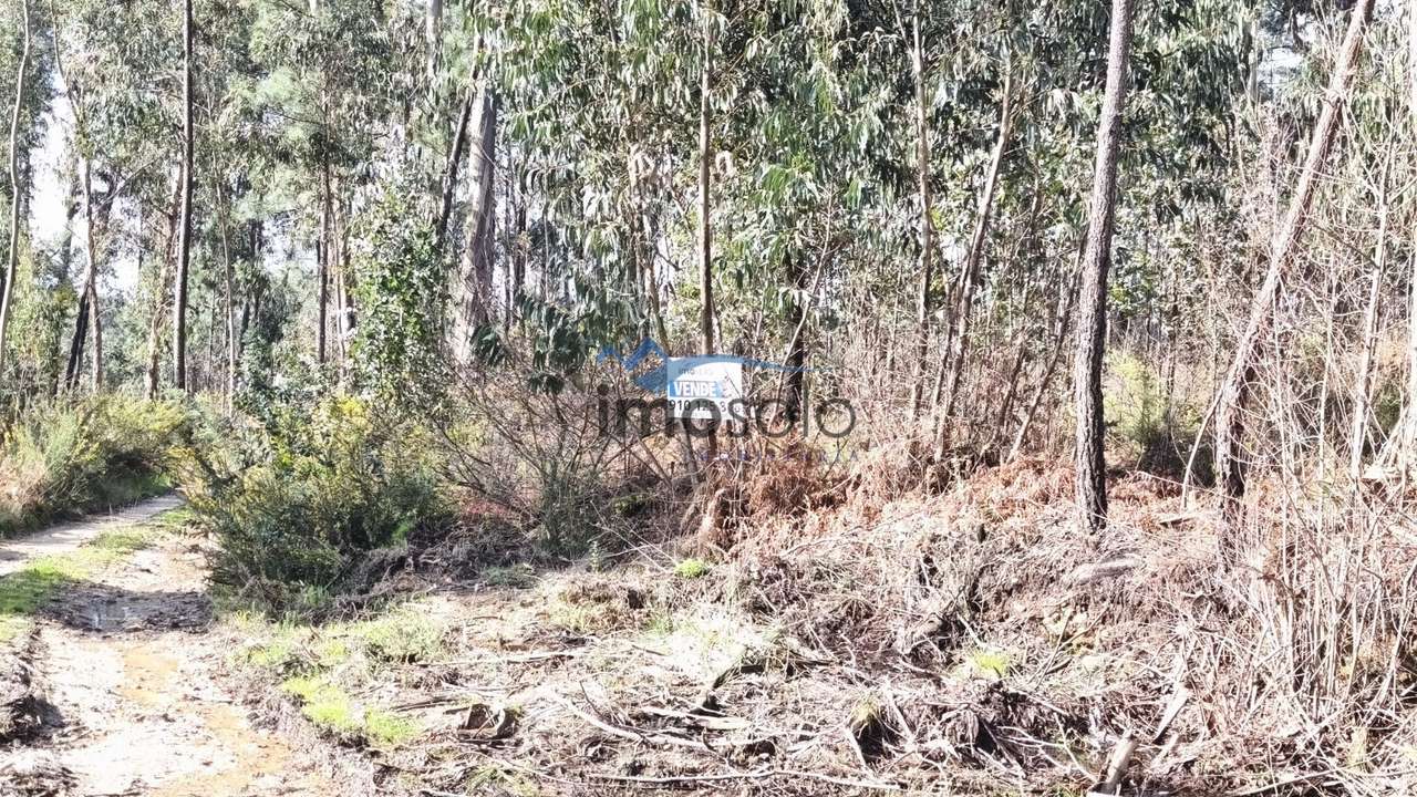 Terreno Rústico com 6350 m² em Zona Industrial - Grande imagem: 4/9