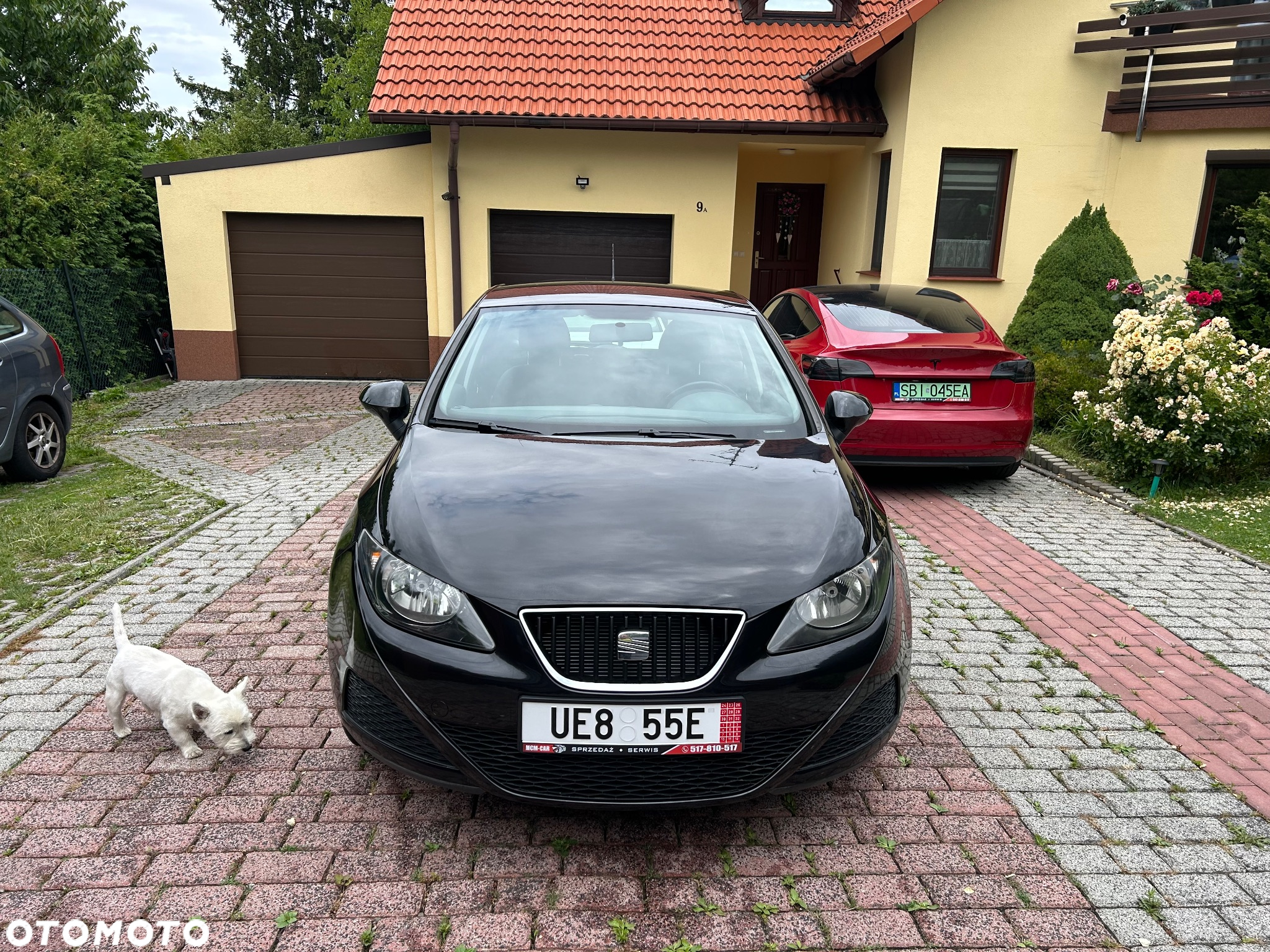 Seat Ibiza 1.4 16V Style - 2