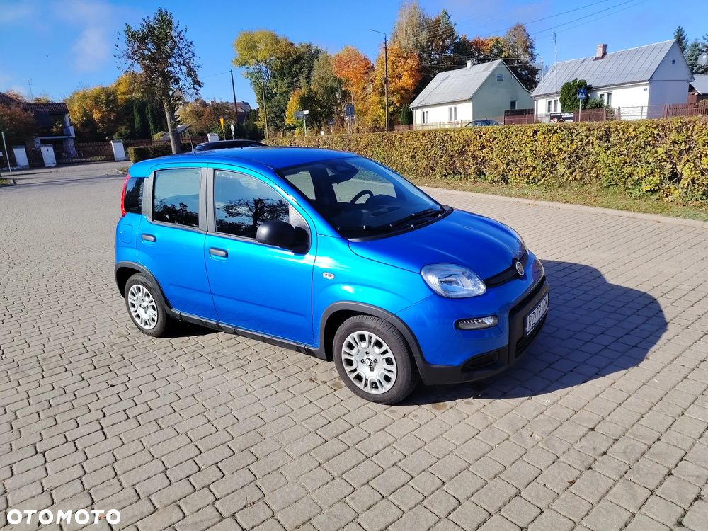 Fiat Panda 2024 photo 4