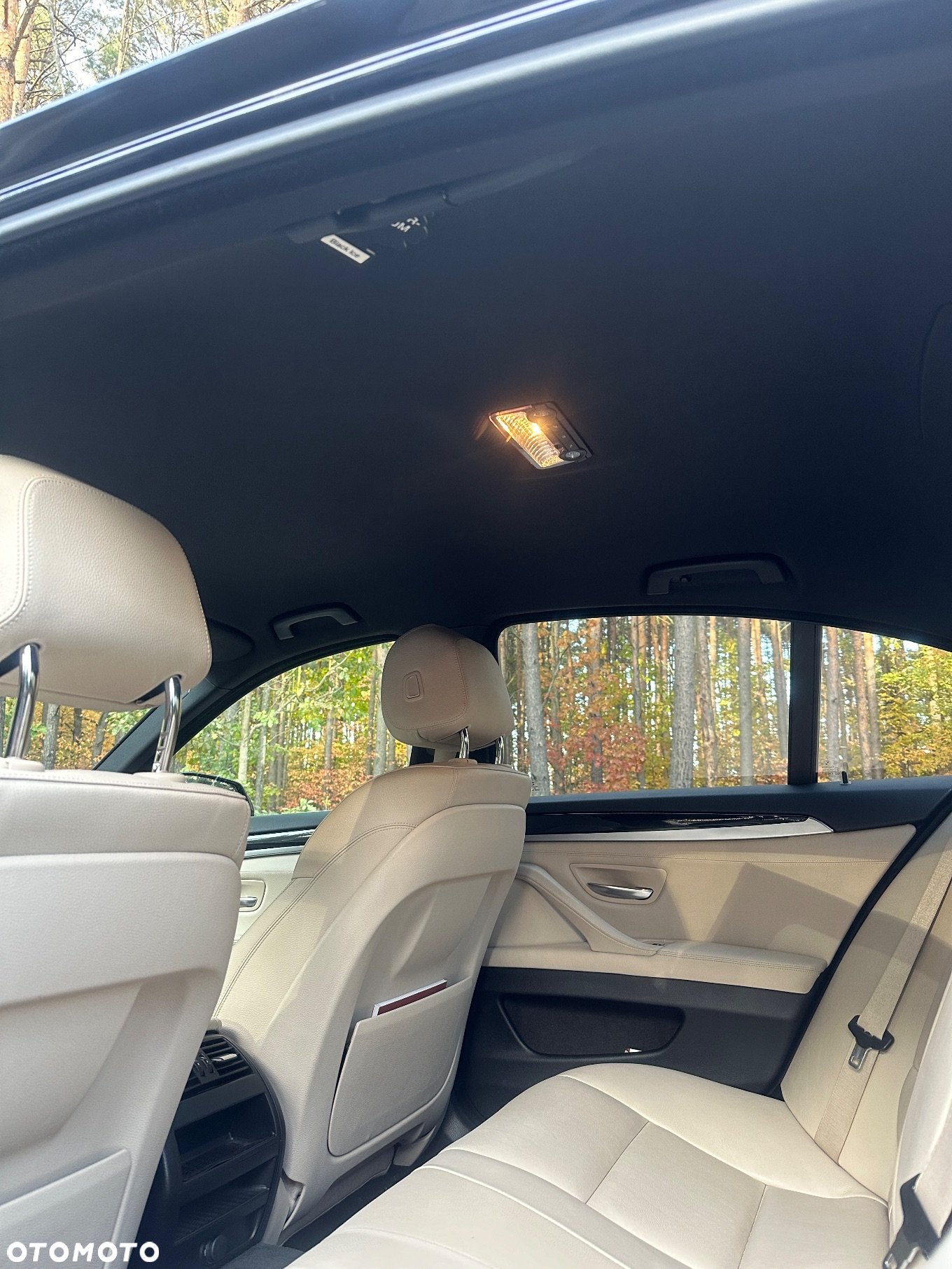BMW Seria 5 520d xDrive - 11
