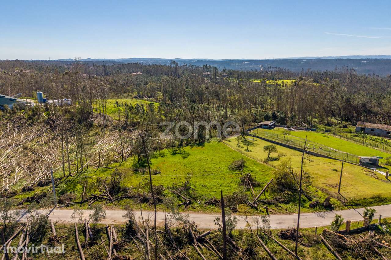 Terreno rústico – Souto da Carpalhosa - Grande imagem: 3/20