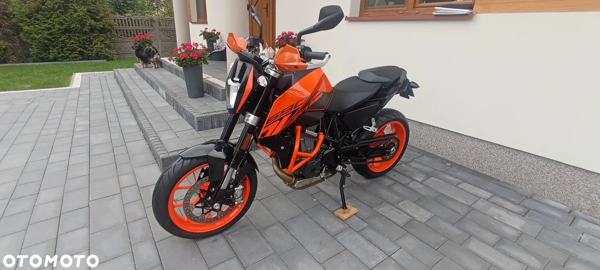 KTM Duke - 6