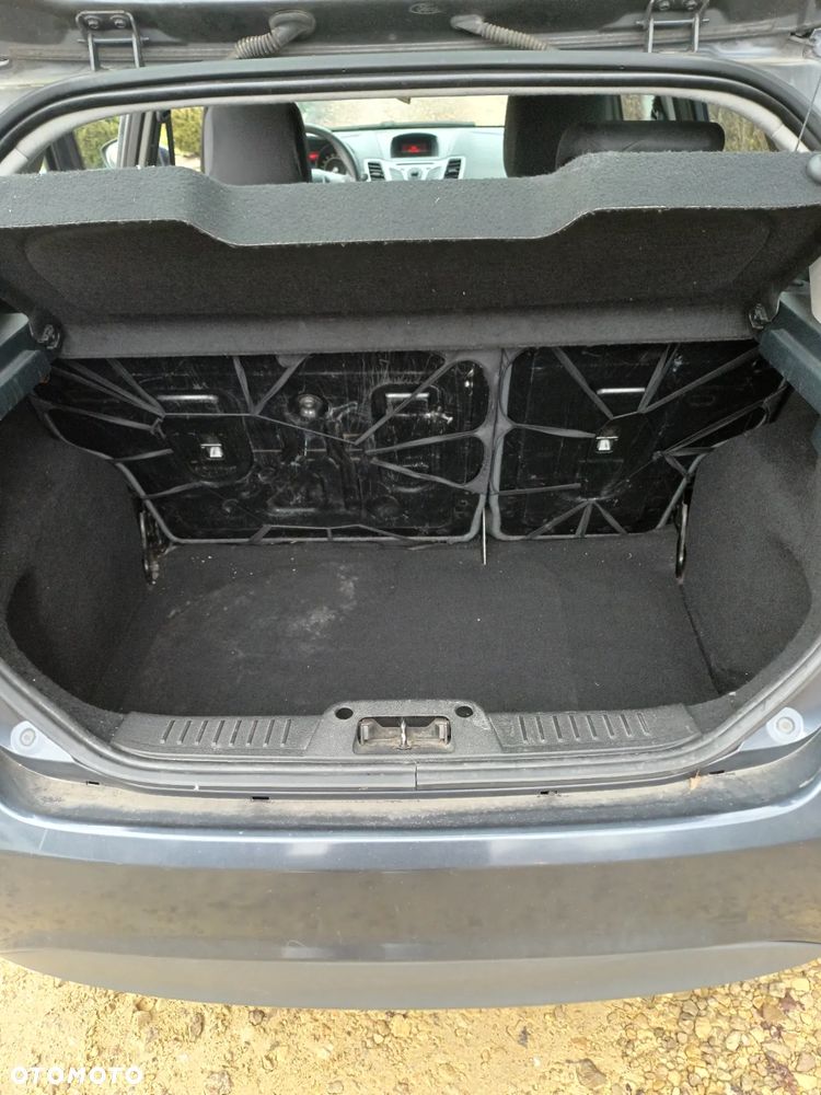 Ford Fiesta 1.4 TDCi Platinium X - 19