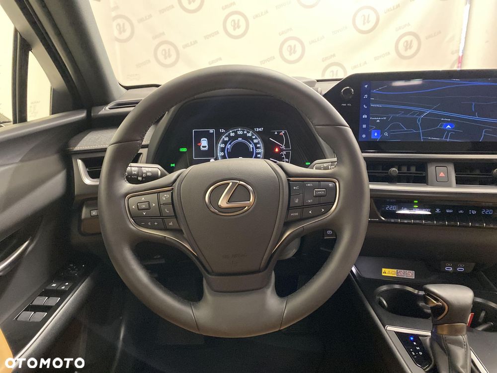 Lexus UX 250h GPF F Sport Design 2WD - 10