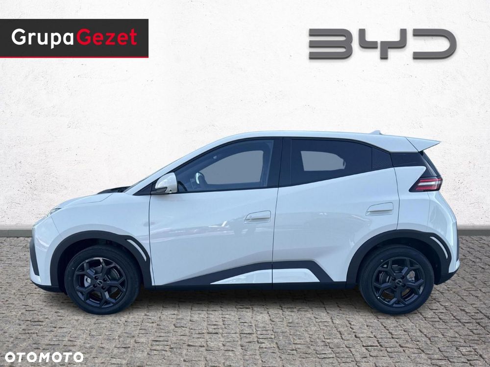 BYD Dolphin Surf - 2