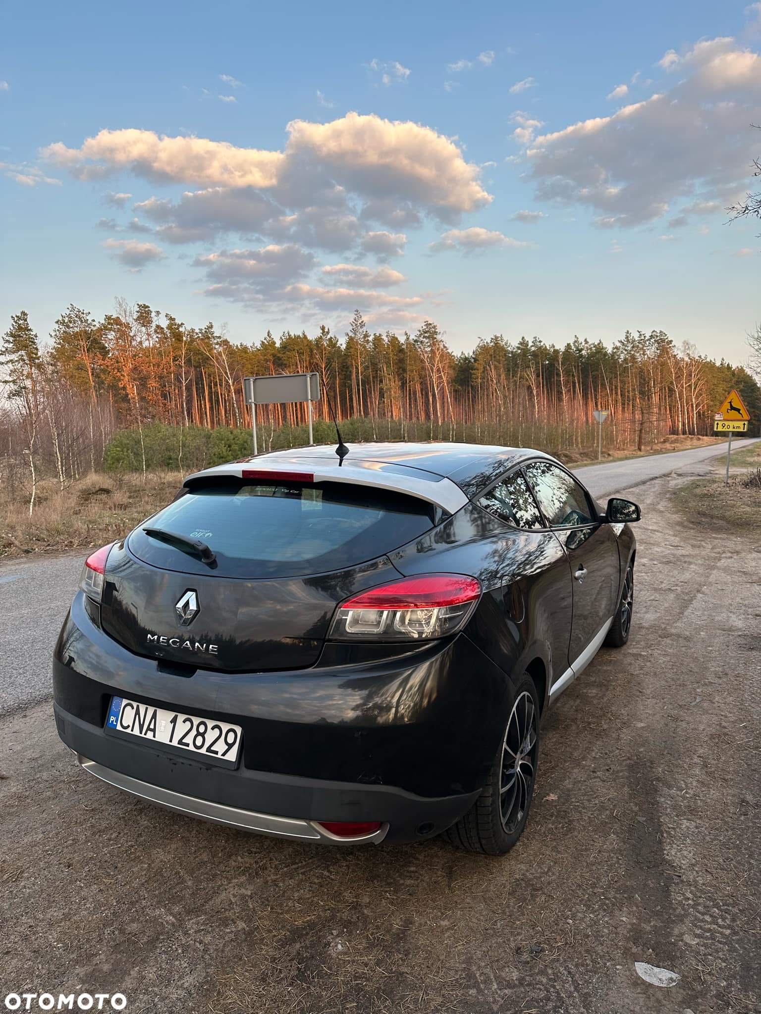 Renault Megane CC 1.6 16V Authentique - 4