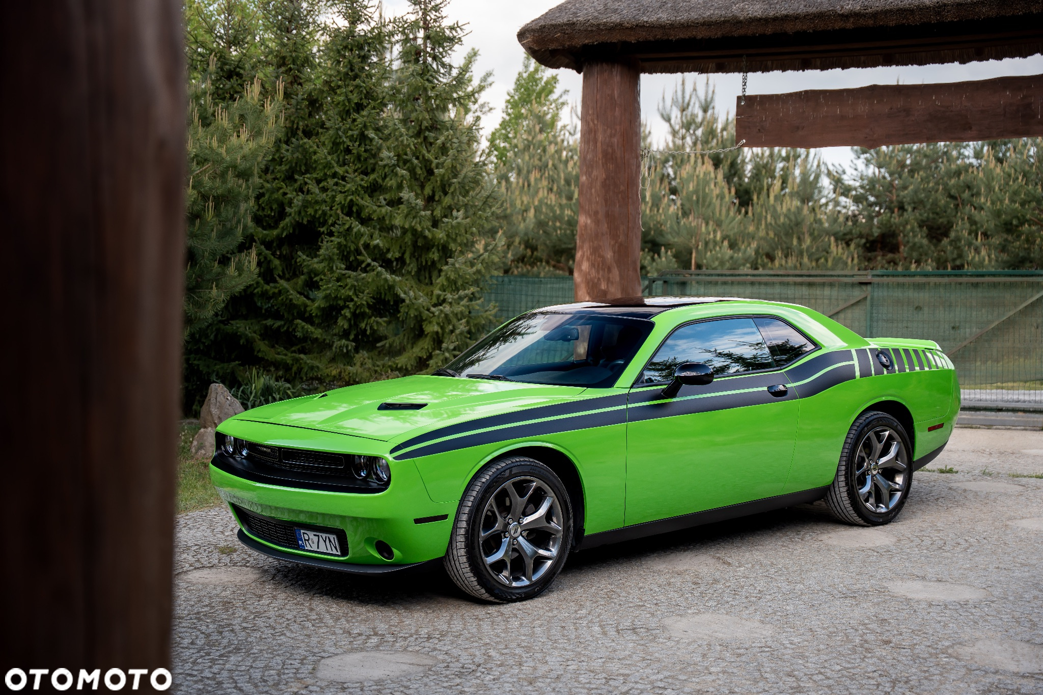 Dodge Challenger Automatik SXT Plus - 4