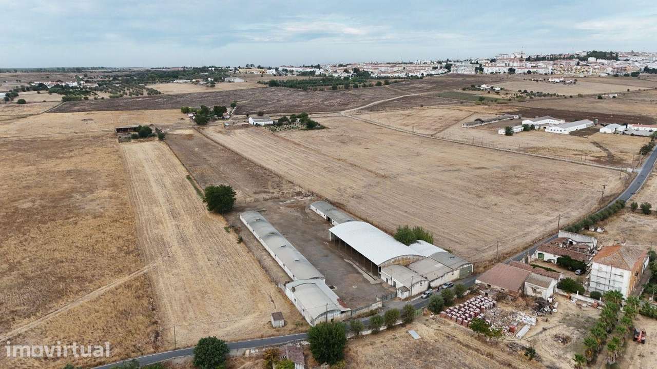 ARMAZÉNS EM BEJA 2040,150 m2 de Armazéns Diversos instalados em  7190, - Grande imagem: 3/30
