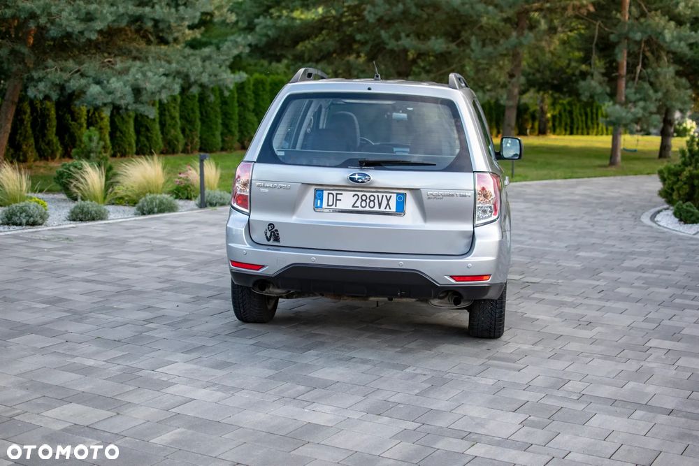Subaru Forester - 20