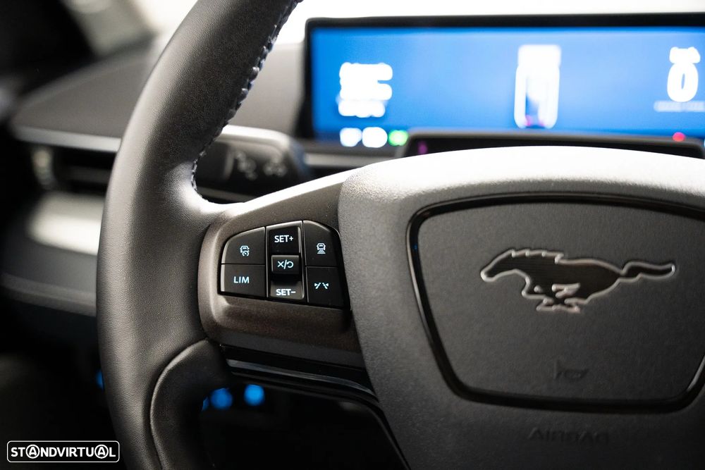 Ford Mustang Mach-E Standard - 15