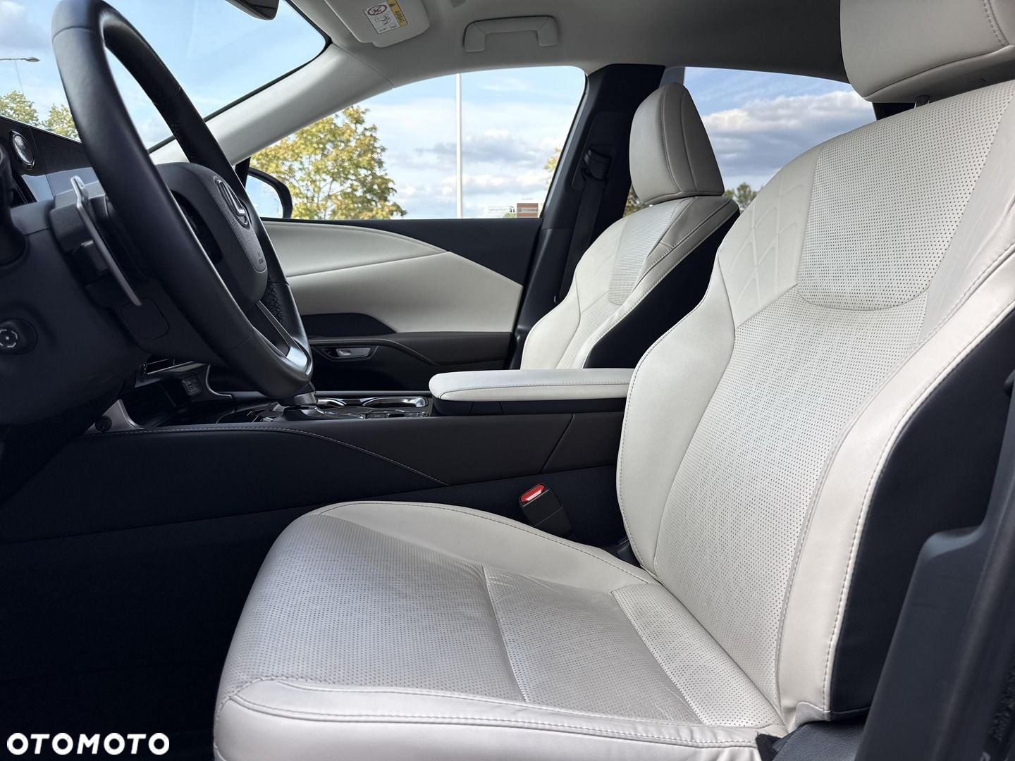 Lexus RX - 12