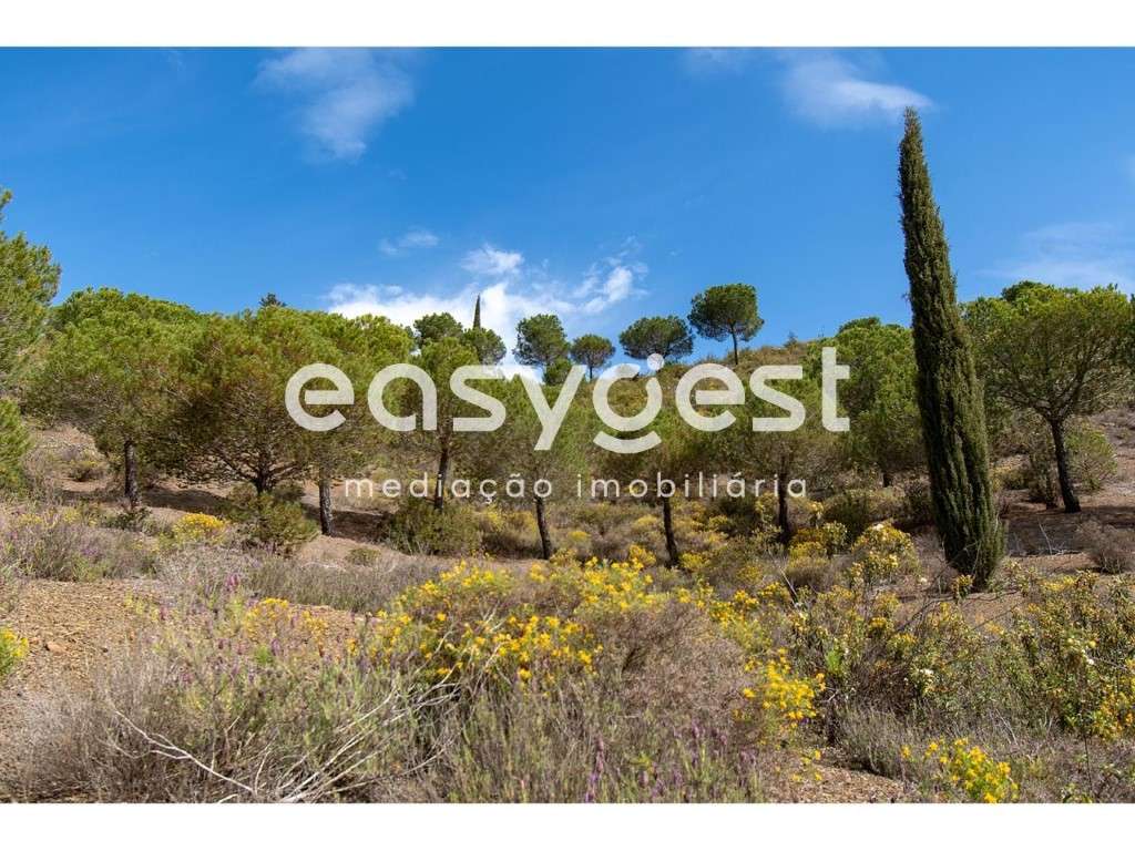 Terreno Urbano de 629 m2 com ruína, inserido em rústicos com 19,7 ha - Grande imagem: 5/17