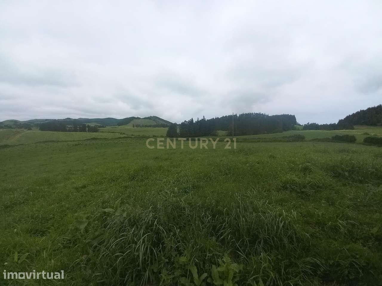 Terreno Agrícola em Ponta Garça, Vila Franca do Campo - Grande imagem: 3/4
