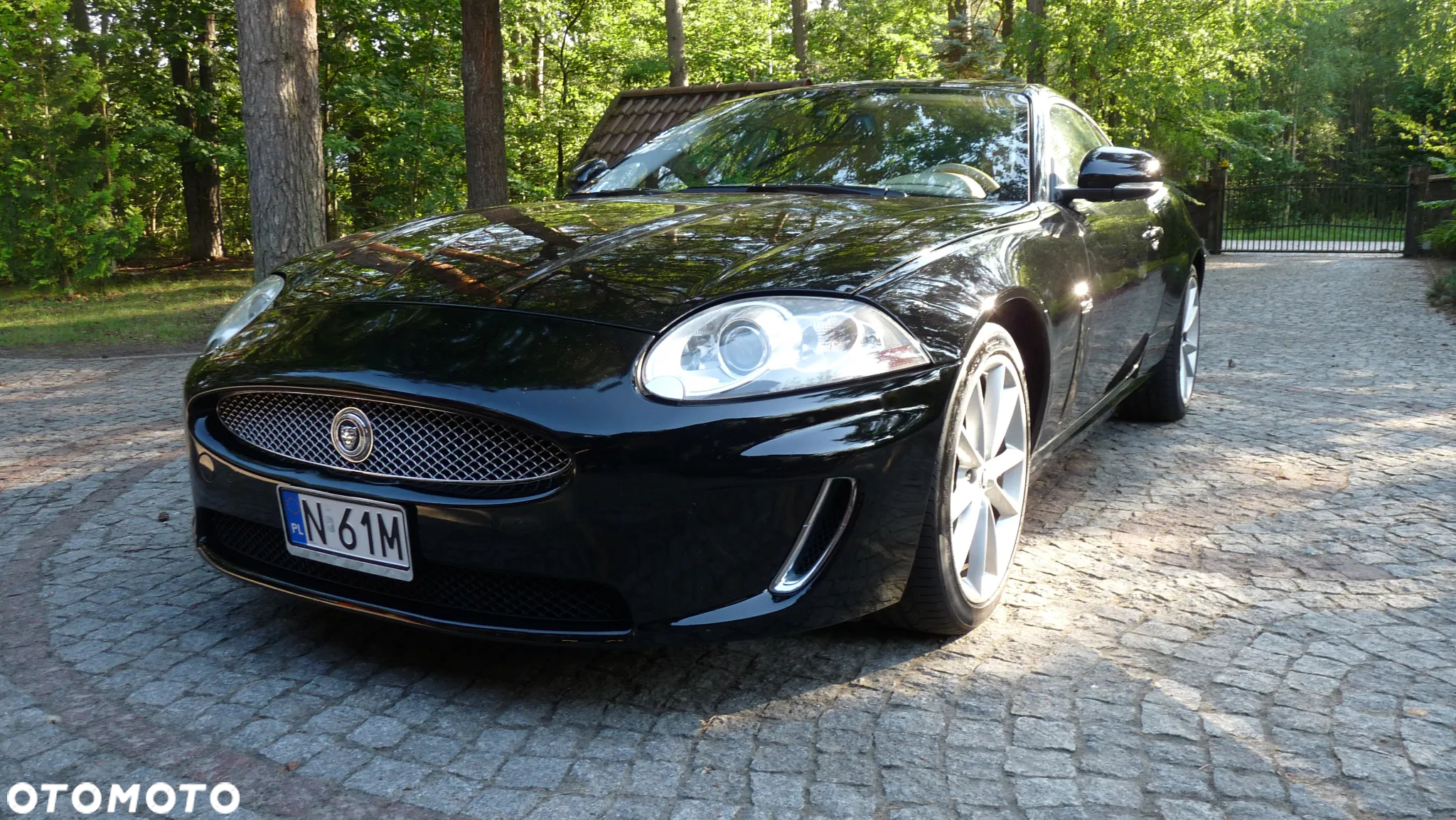 Jaguar XK 5.0 Coupe Portfolio - 14