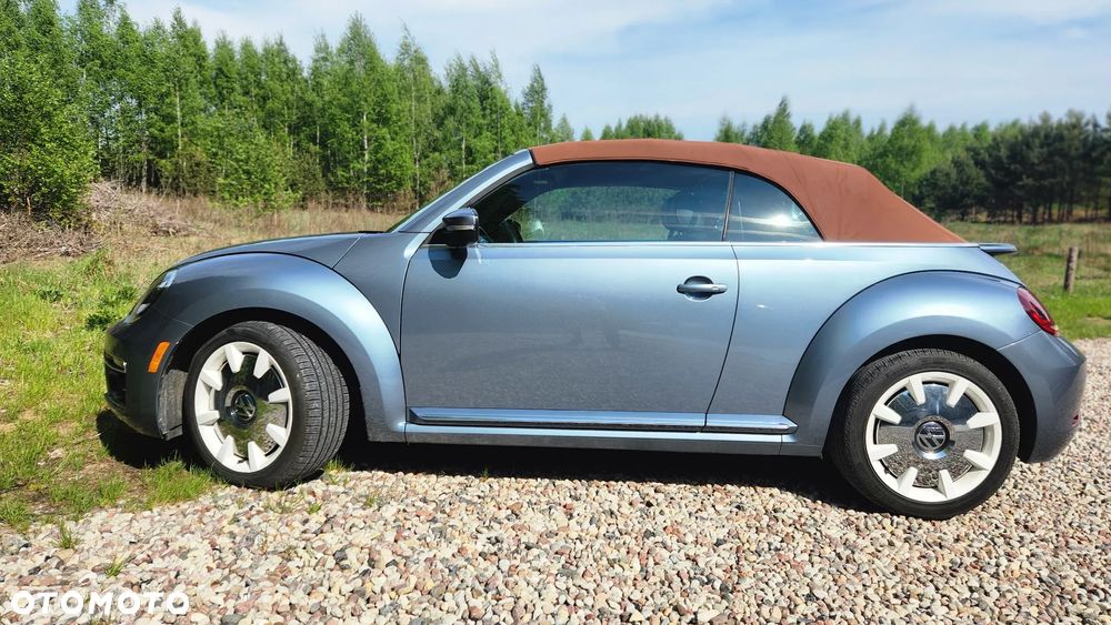 Volkswagen Beetle - 5