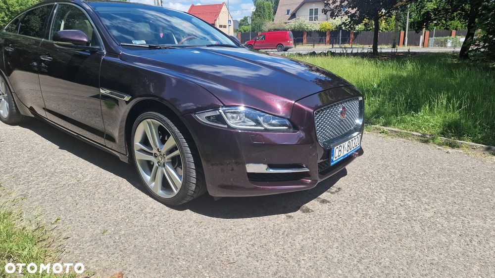 Jaguar XJ 3.0 T AWD Portfolio - 2
