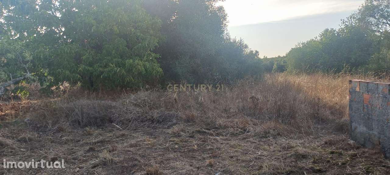 Terreno com Ruína e projeto em Almoster, Santarém - Oportunidade - Grande imagem: 4/13
