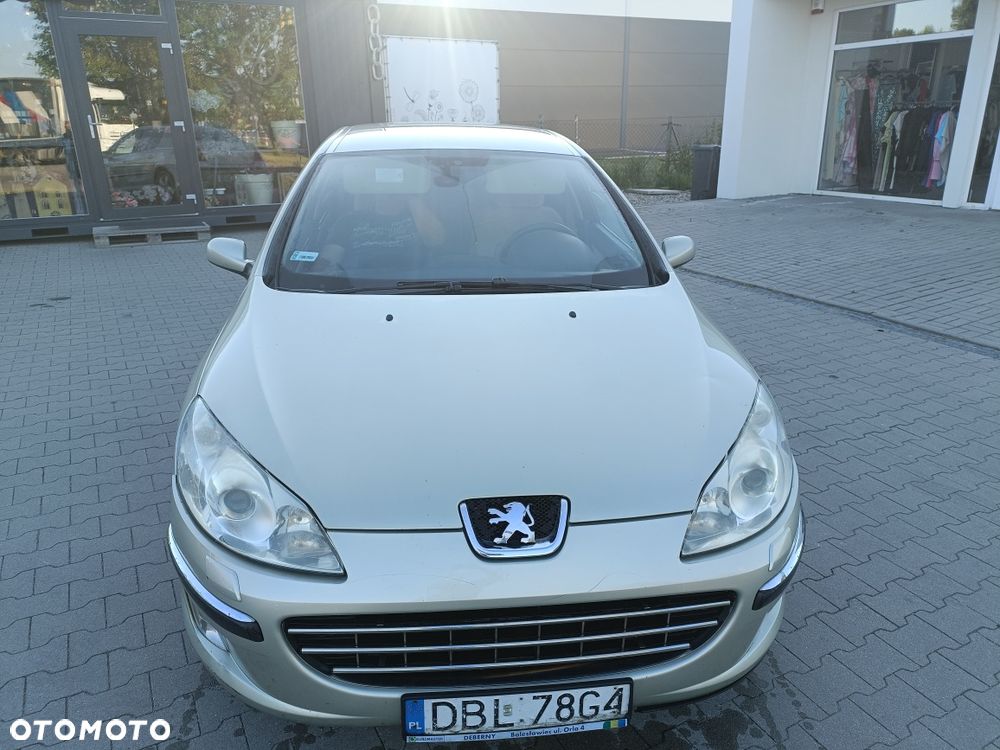 Peugeot 407 - 3