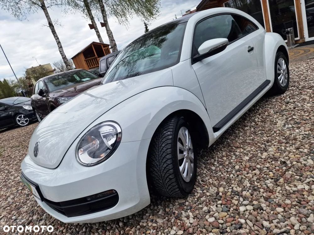 Volkswagen Beetle - 1