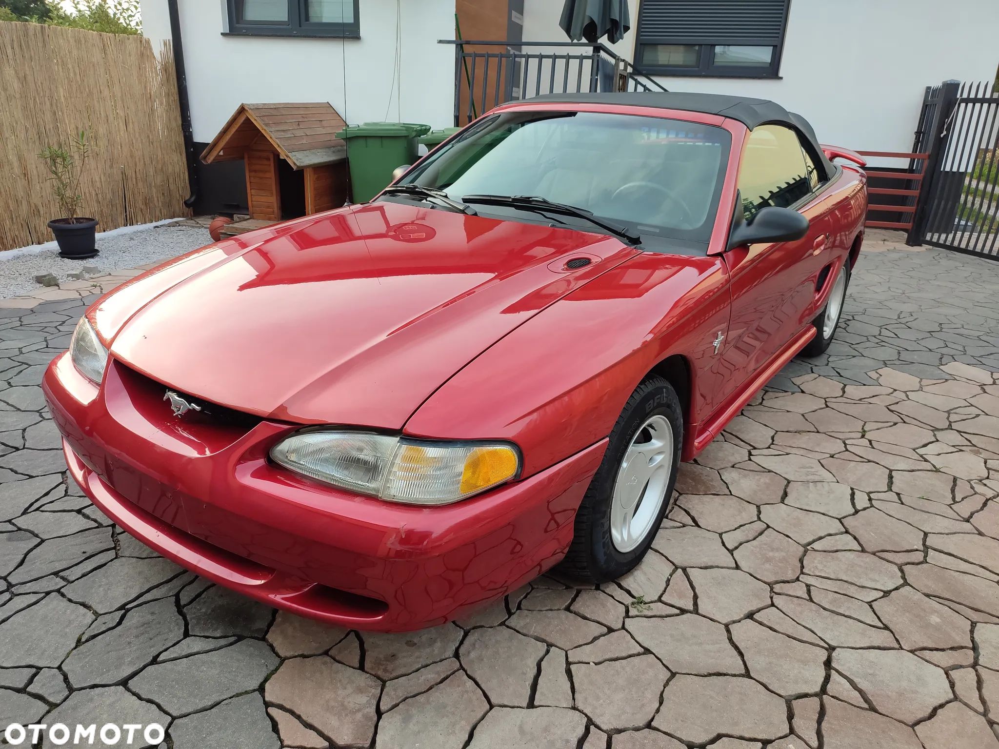 Ford Mustang - 1