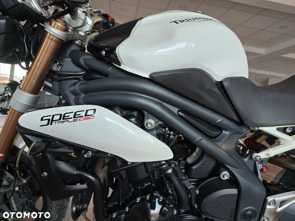 Triumph Speed Triple - 20