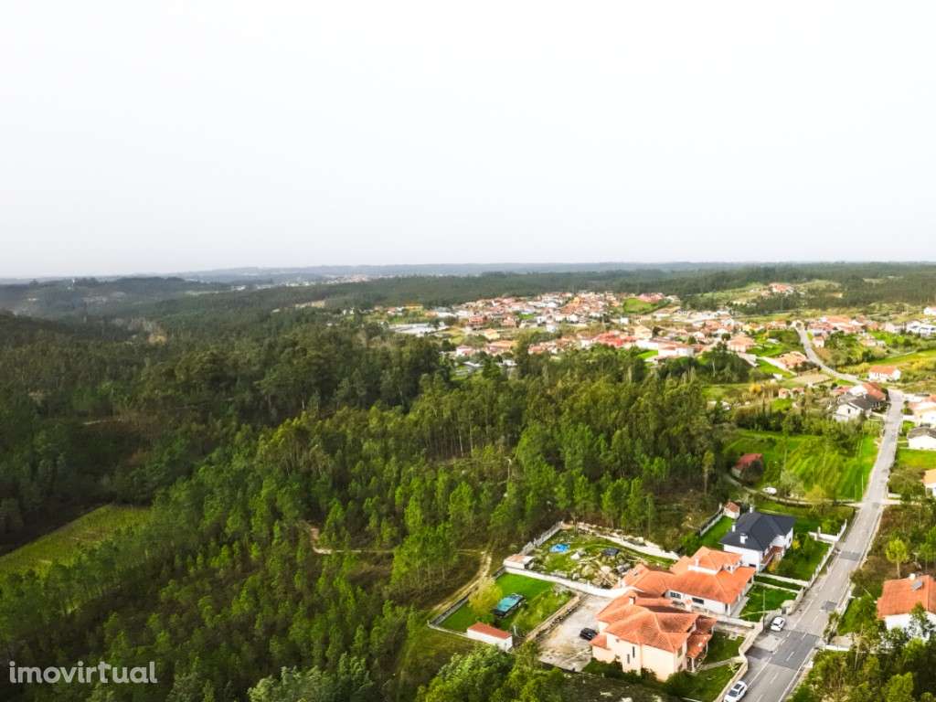 Terreno Urbano - Grande imagem: 2/15