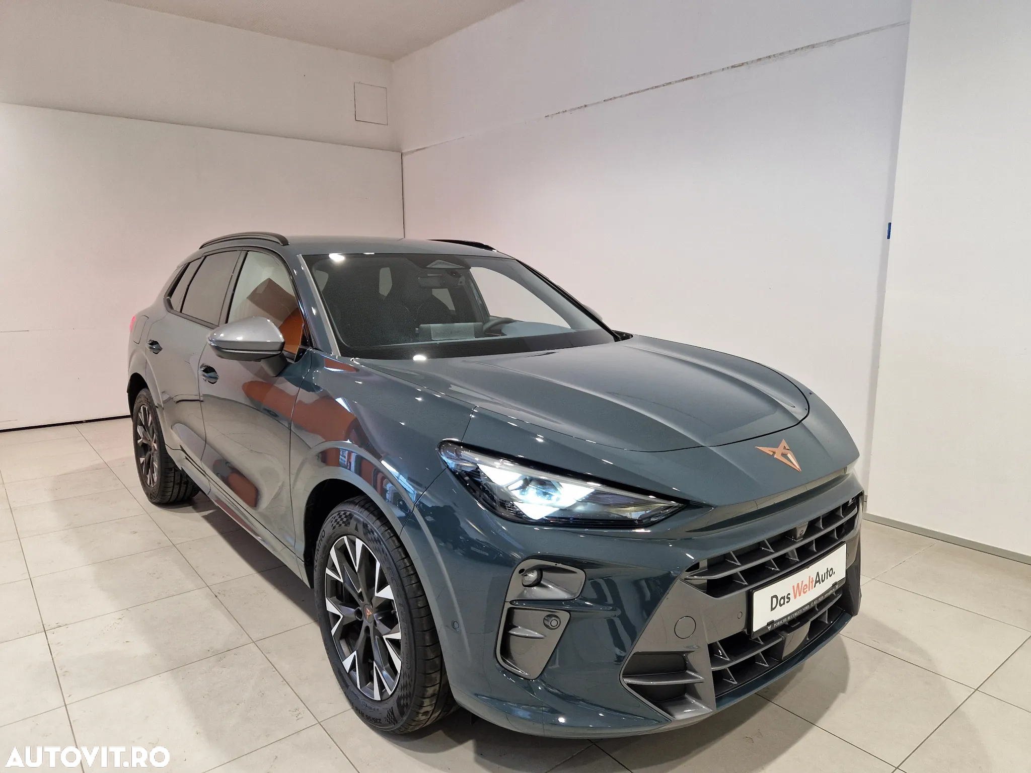 Cupra Terramar - 5