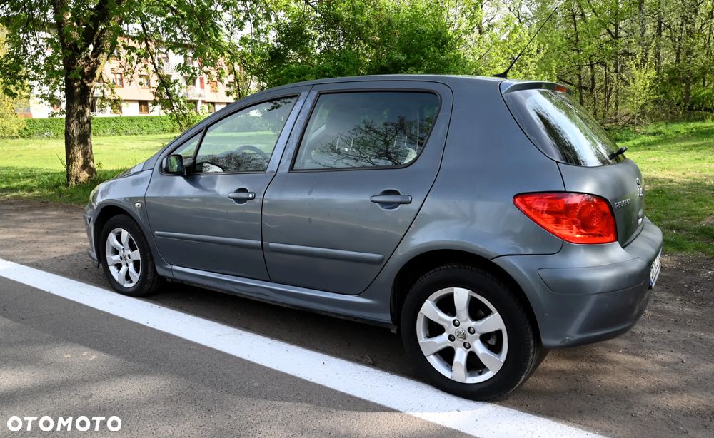 Peugeot 307 - 6