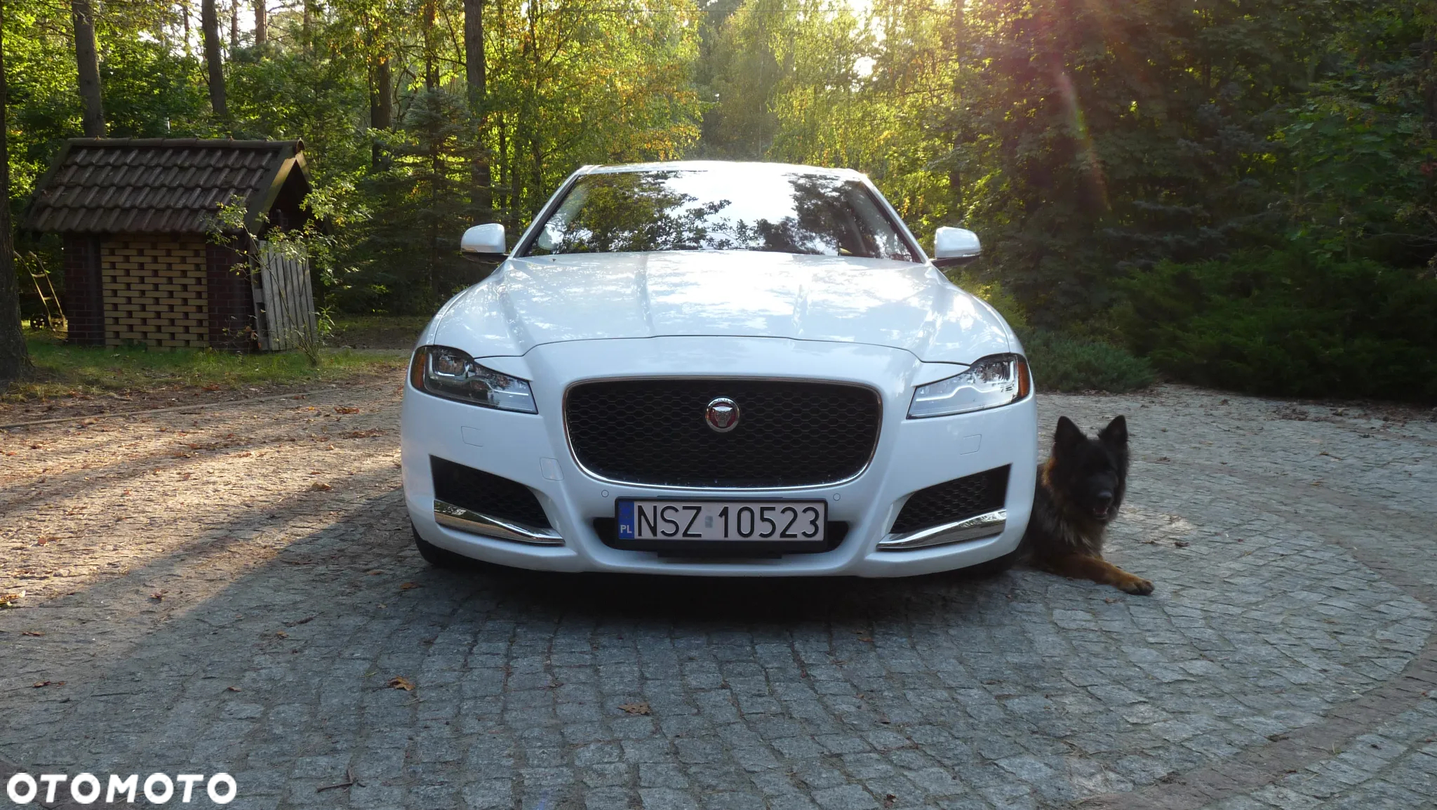 Jaguar XF 35t AWD Portfolio - 2