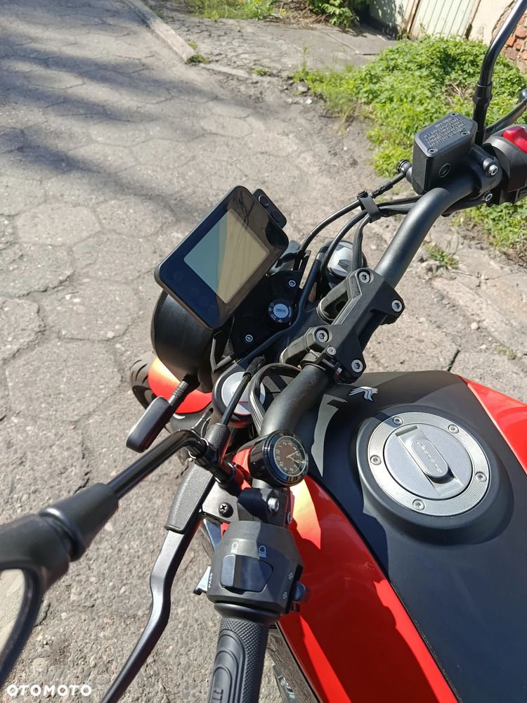 Benelli Leoncino - 8